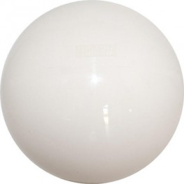 Gym Ball designed for beginners